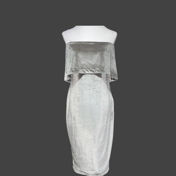 LIKELY Pretty Strapless Pewter Velvet Dress! NWT - Size 12 - Picture 2 of 6